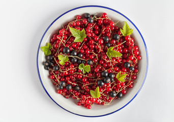 red and black currant with green leaves in a gray plate with blue edges on a gray background , top view