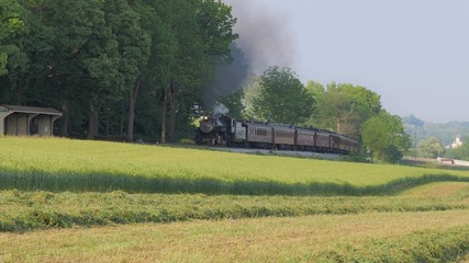 Fototapeta na wymiar Steam Train pulling into Picnic Area