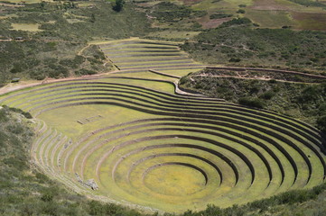 moray laboratory inca