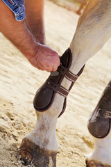 homme mettant guêtres à son cheval 