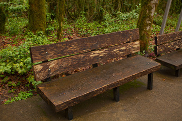 Naklejka premium wooden bench in a public park in spring at sunset