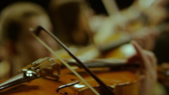 Playing the violin close-up