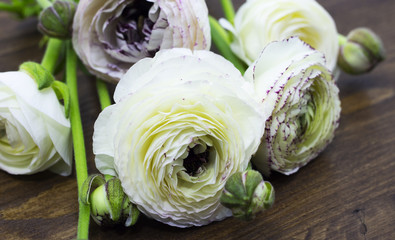 white ranunculus on wooden background space for text