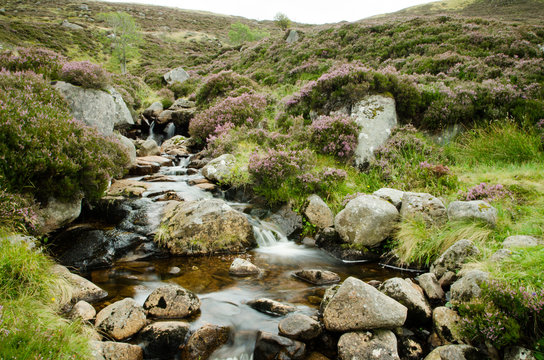 Bach am Loch Muick, Cairngorms National Park