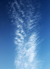 Naklejka na ściany i meble A white cloud in a bright blue sky. 