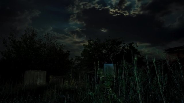 Full Moon Moves in the Night Sky through Dark Clouds and Trees. Time lapse. The mystical moon rises up against the background of silhouettes of tree branches. Moonlight Shines in the black night sky.