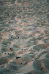 Sand
