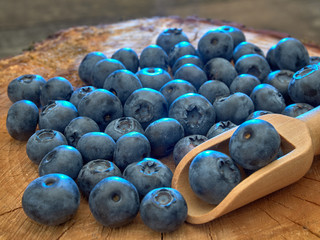 Delicious juicy ripe blueberries .On different background