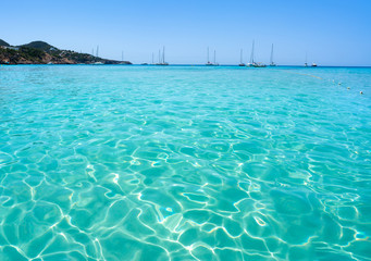 Ibiza Cala Tarida beach in Balearic Islands