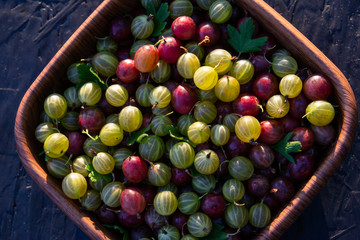 Red, green and yellow gooseberries closeup
