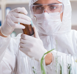 Biotechnology scientist chemist working in lab