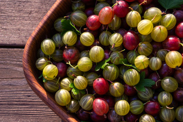 Red, green and yellow gooseberries closeup