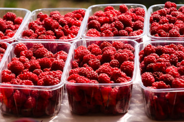 Ripe juicy raspberries in plastic containers on market stall. Fresh organic berries from ecofarm