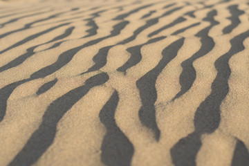 Sombras en la arena de las dunas