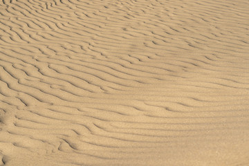 Olas de arena, surcos en las dunas