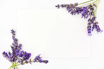 Poster Flowers composition. Frame made of fresh lavender flowers on white background. Flat lay, top view, copy space, square © vetre