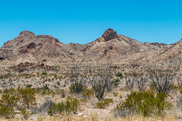 Desert landscape view of Big Bend National Park during the day in Texas.