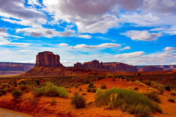 Picture Perfect Desert