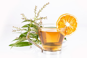Lemon verbena leaves and verbena tea. Aloysia citrodora. Text space