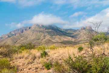 Desert landscape view of Big Bend National Park during the day in Texas.