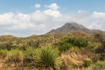 Desert landscape view of Big Bend National Park during the day in Texas.
