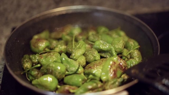 Frying and cooking Pimientos del Padron in a pan for spanish merienda tapas dinner in spain with dlicious food