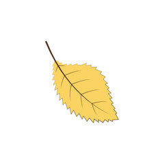 autumn yellow color leaf illustration