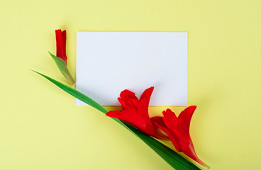 White card on a yellow background with gladiolus flowers