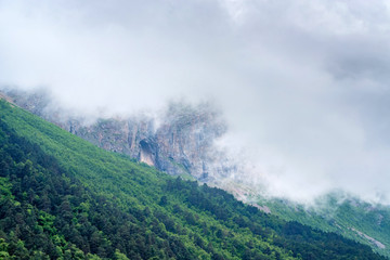 Obraz premium Scenic view of foggy mountains. Clouds and green mountain forest view