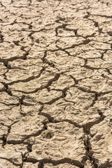 Earth cracked by drought. Detail shot. Texture. Vertical.