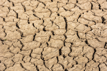 Earth cracked by drought. Detail shot. Texture. Horizontal.