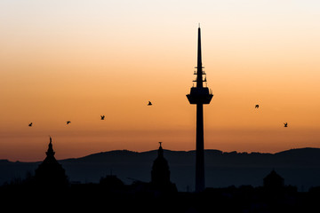 Mannheim Fernsehturm bei Sonnenaufgang