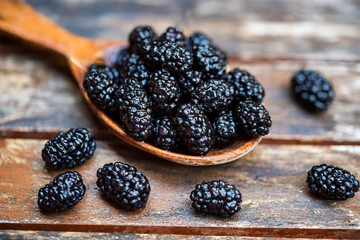 Close up fresh mulberries fruit in wooden spoon on table