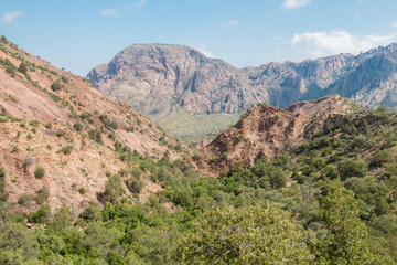 Landscape view of Big Bend National Park as seen from the top of the Chisos Basin (Texas).