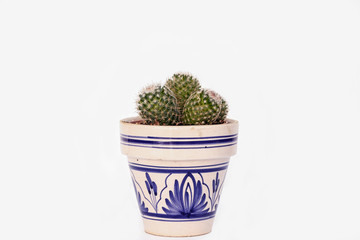 Small sphere cactus in clay pot painted Andalusian style