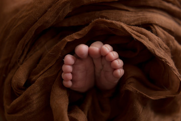 baby feet on background. feet of a newborn baby. little foot