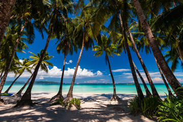 Fototapeta na wymiar A beautiful tropical sandy beach surrounded by palm trees and warm ocean (White Beach, Boracay)