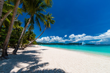 A beautiful tropical beach with palm trees and shallow, clear ocean (White Beach, Boracay)