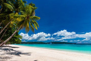 Ein wunderschöner tropischer Strand mit Palmen und flachem, klarem Ozean (White Beach, Boracay)