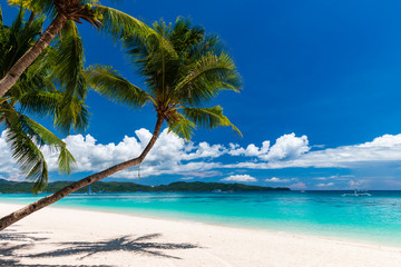 Ein wunderschöner tropischer Strand mit Palmen und flachem, klarem Meer (White Beach, Boracay)