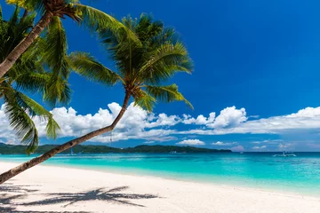 Fotobehang Boracay Wit Strand Een prachtig tropisch strand met palmbomen en ondiepe, heldere oceaan (White Beach, Boracay)