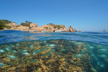 Spain rocky coast with boats and a school of fish underwater, Mediterranean sea, split view half above and below water surface, Costa Brava, Aigua Xelida, Palafrugell, Catalonia