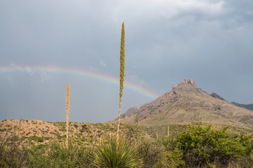 A rainbow forming over the landscape of Big Bend National Park after a thunderstorm in Texas.