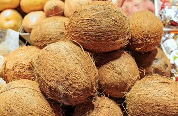 Fresh coconuts in a market of Barcelona