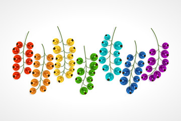 Seven colored twigs of currants