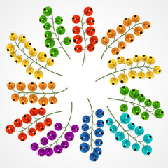 Colored twigs of currants