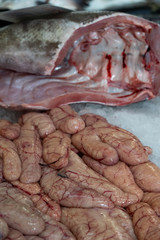 Hake roe for sale at local market
