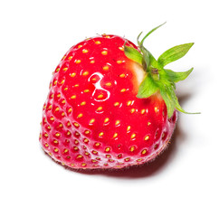 Strawberry macro