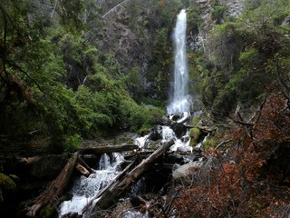 Cascada en la patagonia