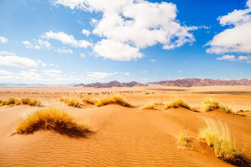 Namib desert landscape